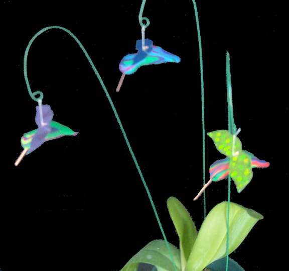 hummingbirds for Plants